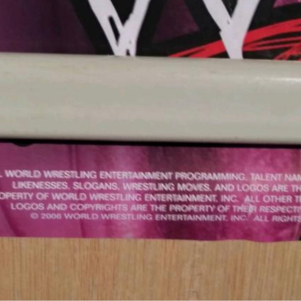 CANDICE MICHELLE WWE POSTER - Trends International #8865 🔥 WWE Candice 🔥 - Picture 5 of 5